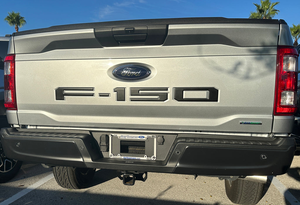 F-150 Tailgate Insert Letters; Magnetic (18-20 F-150 W/o Tailgate Applique - Foto 13