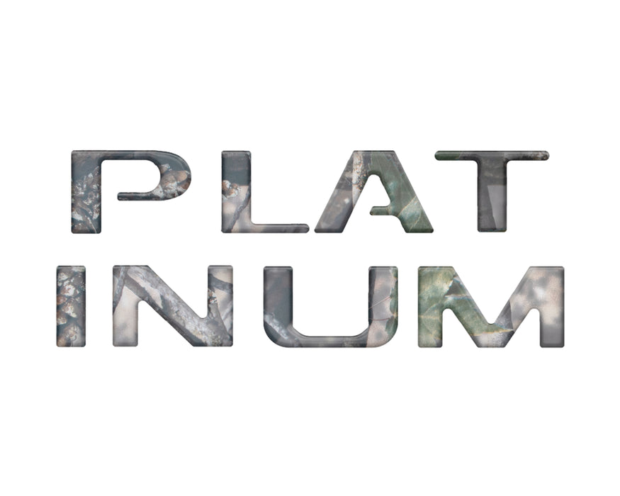 Platinum Tailgate Lettering Kit Fits 2025-2026 Ford Super Duty Platinum
