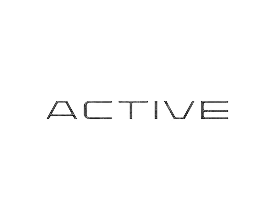 Active Rear Hatch Overlays Fits 2025-2026 Ford Expedition