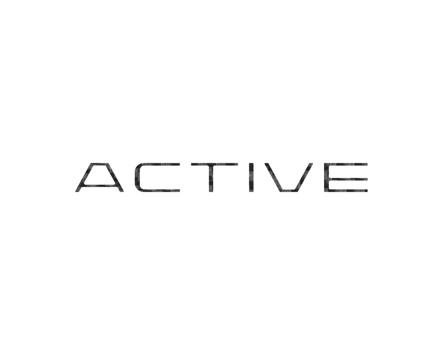 Active Rear Hatch Overlays Fits 2025-2026 Ford Expedition